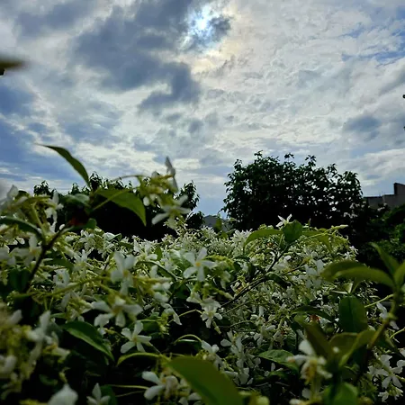 Apartmán Perla No1 Kaštela